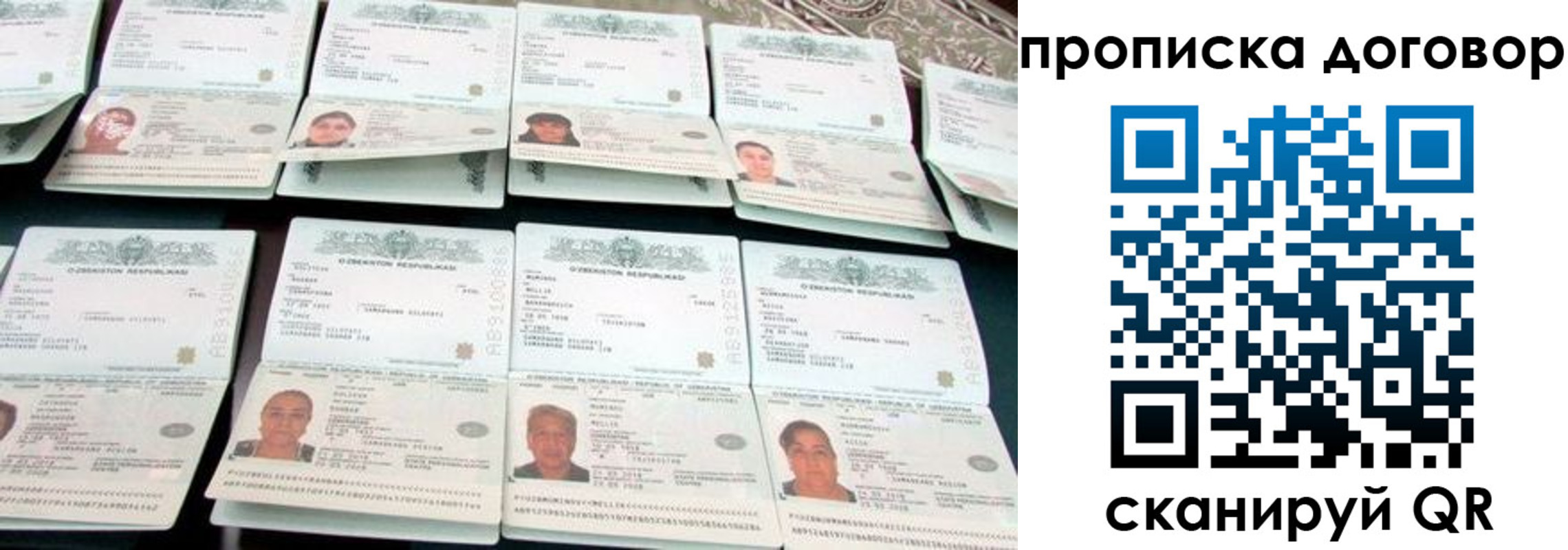 прописка для школы в Апатитах